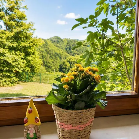 Digital Detox House Haloze *